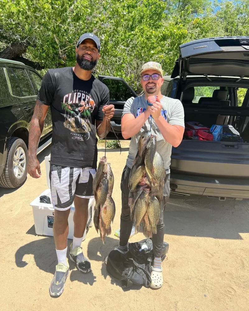 迅速而引人 迅速而引人