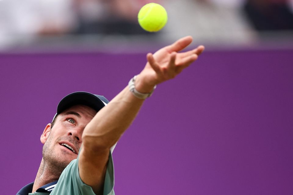 商业价值 商业价值